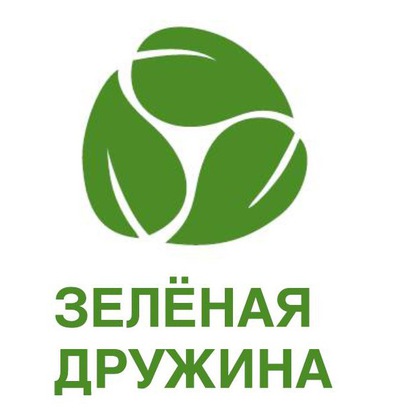 Зеленая дружина Зеленая дружина.